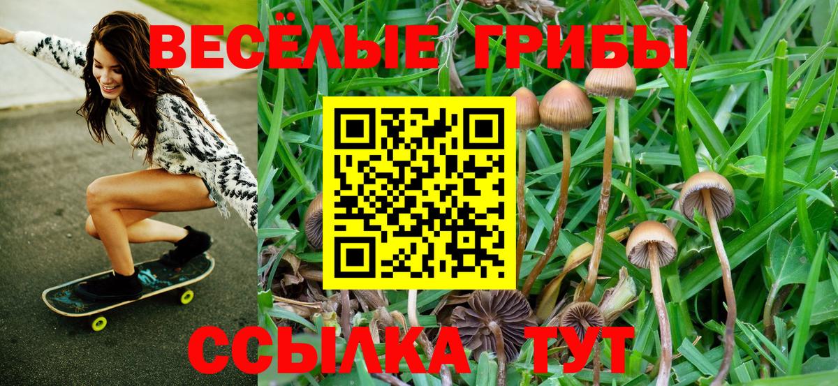 Псилоцибиновые грибы прущие грибы  Вход с VPN  как найти закладки  Асино  Псилоцибиновые грибы прущие грибы 
